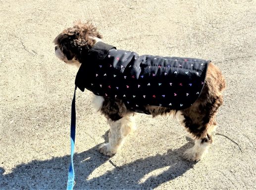 Spencer wearing tiny hearts on black with solid black reverse side