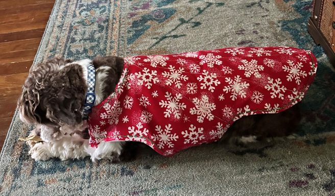 Spencer sporting his super warm and cozy flannel