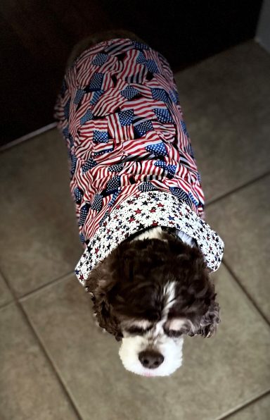 Adorable fully reversible flags or tiny stars, can be worn either way